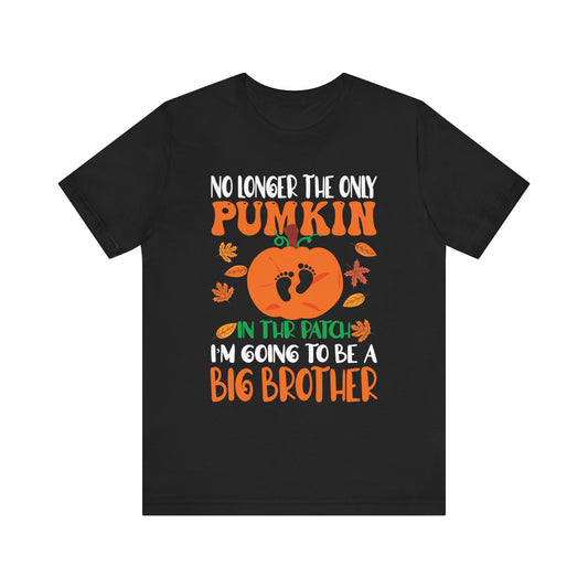 Big Brother Announcement T-Shirt - Unisex Jersey Short Sleeve Tee